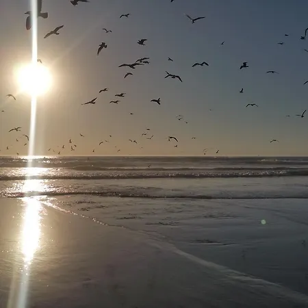 Apartamento Ocean Beach House *